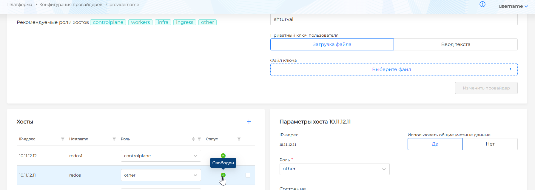 Высвобожденный хост в статусе Свободен на странице провайдера